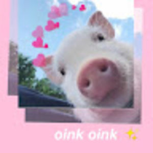 Meet your Posher, Hailey